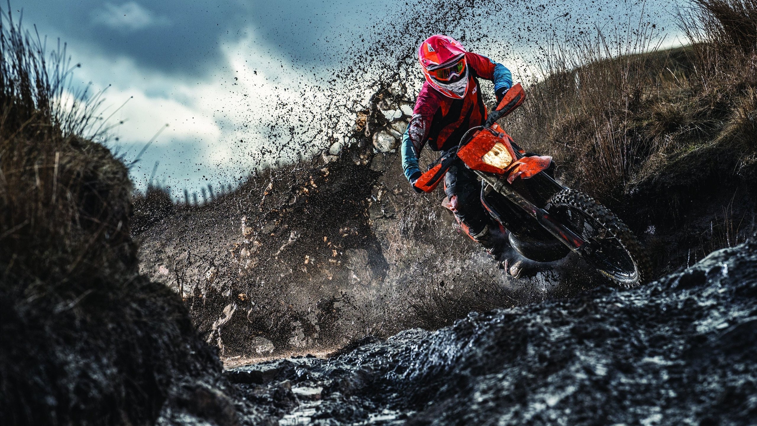 成功的背后：团队协作和战术执行的秘密，成功是团队协作结果